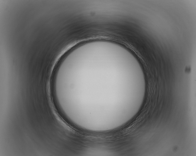 X0000097590726200802290749