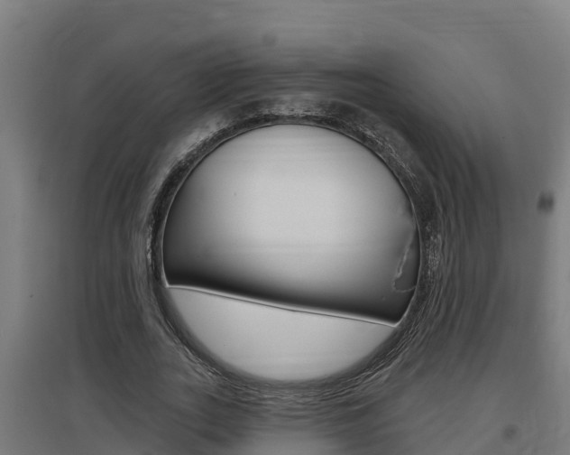 X0000097590727200802290749
