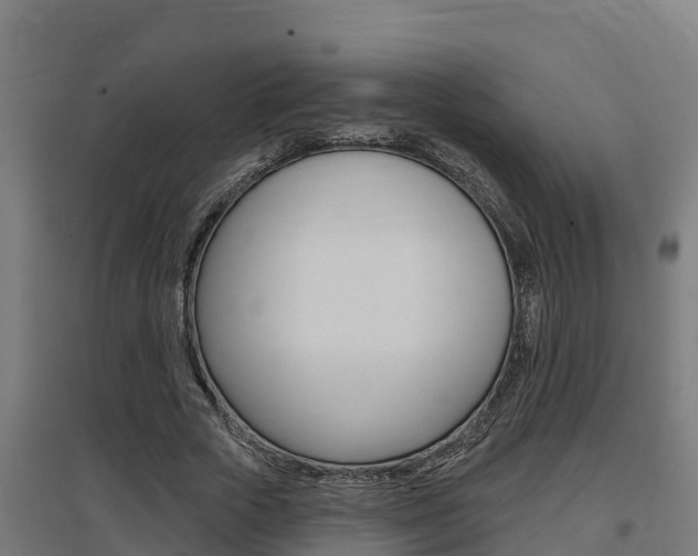 X0000097590729200802290749