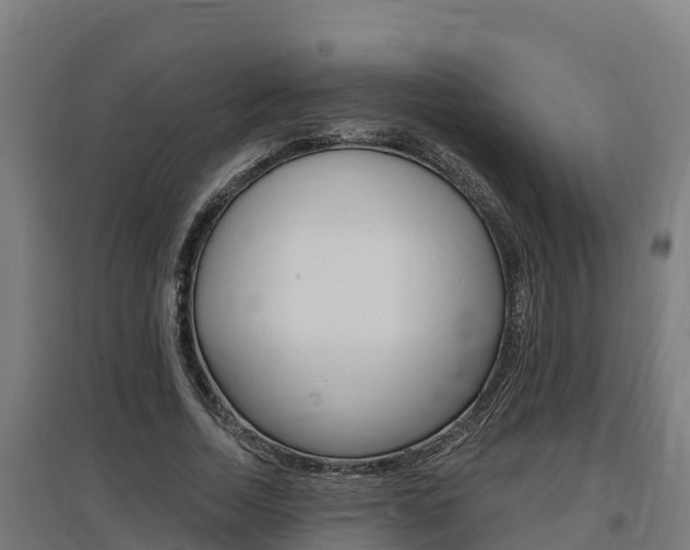 X0000097590730200802290749
