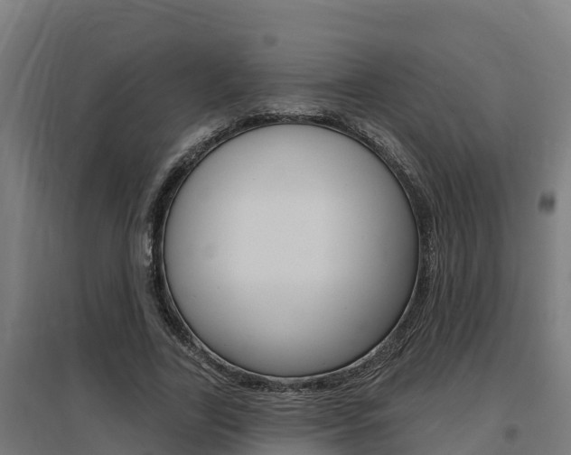 X0000097590731200802290749
