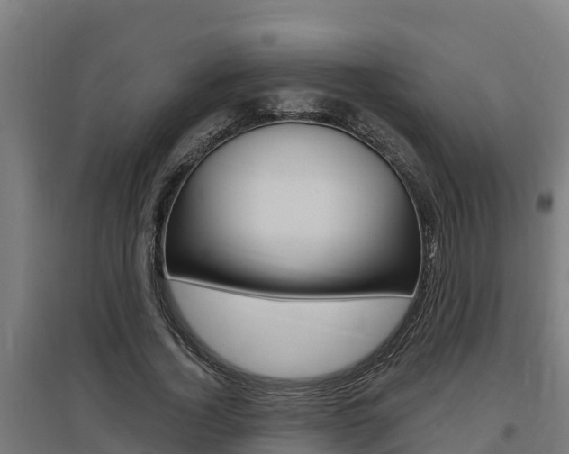 X0000097590732200802290749