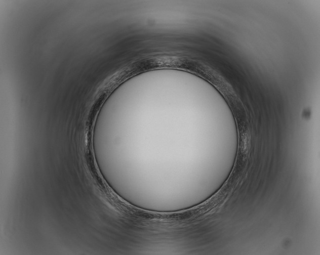 X0000097590733200802290749