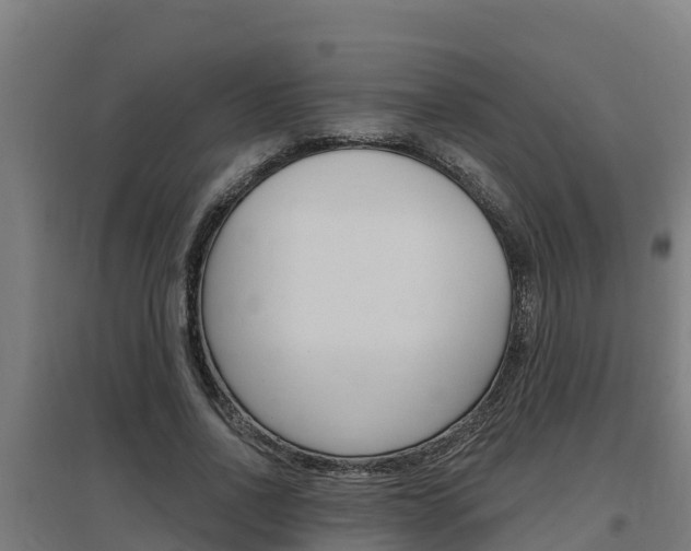 X0000097590734200802290749