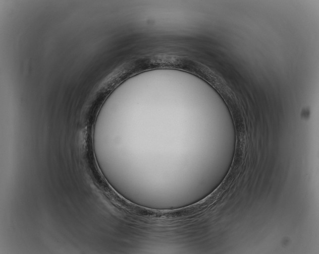 X0000097590735200802290749