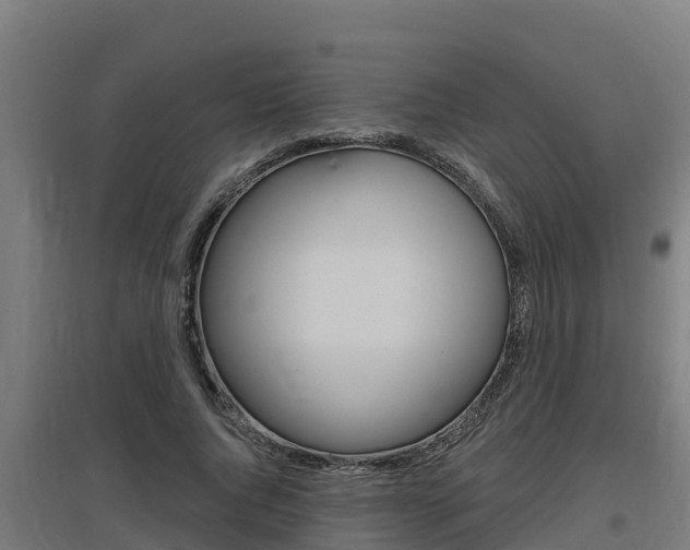 X0000097590736200802290749