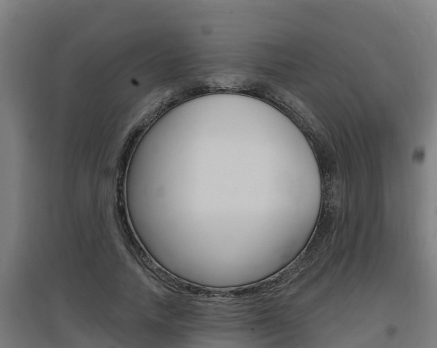X0000097590738200802290749
