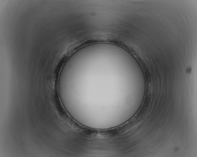 X0000097590739200802290749