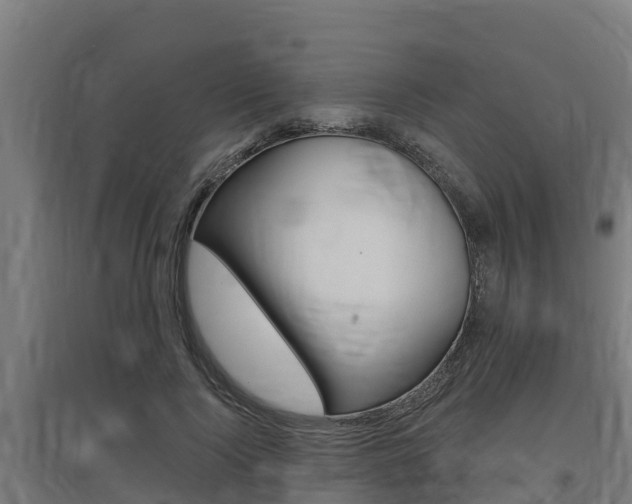 X0000097590740200802290749