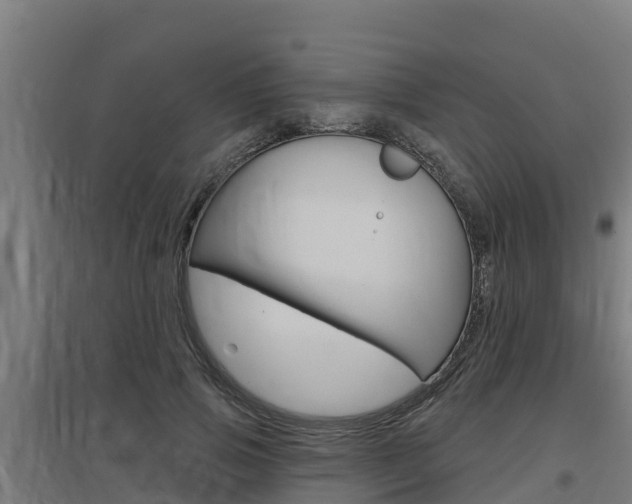 X0000097590741200802290749