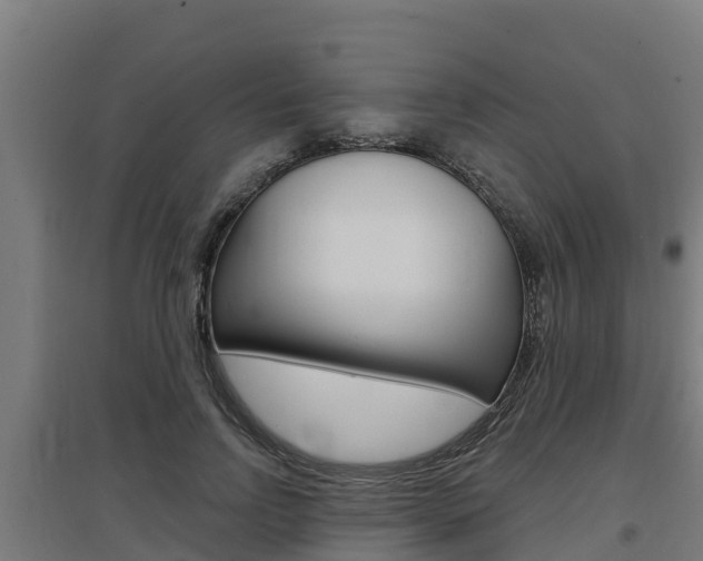 X0000097590742200802290749