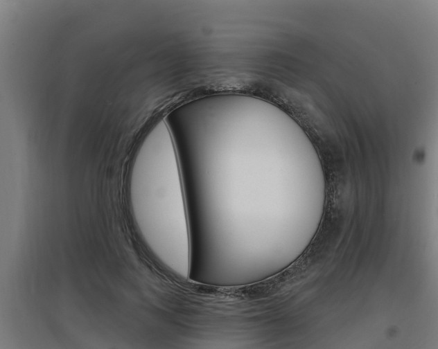 X0000097590743200802290749