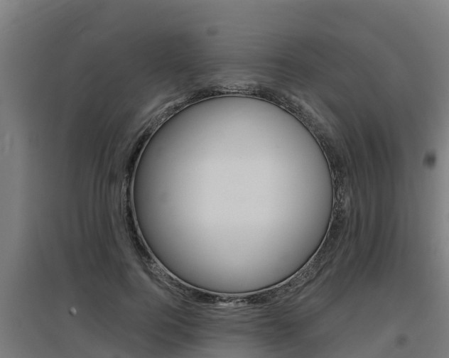 X0000097590744200802290749