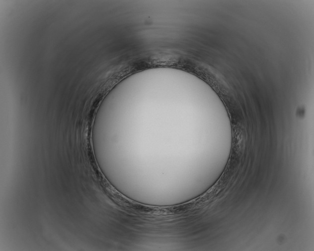 X0000097590745200802290749