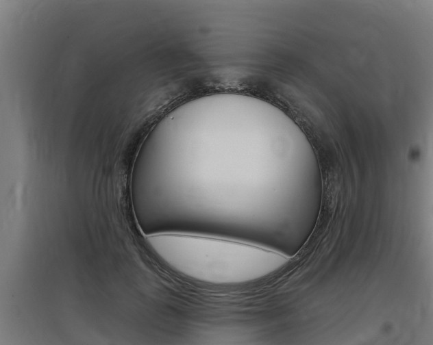 X0000097590747200802290749