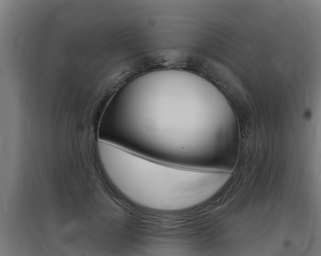 X0000097590748200802290749