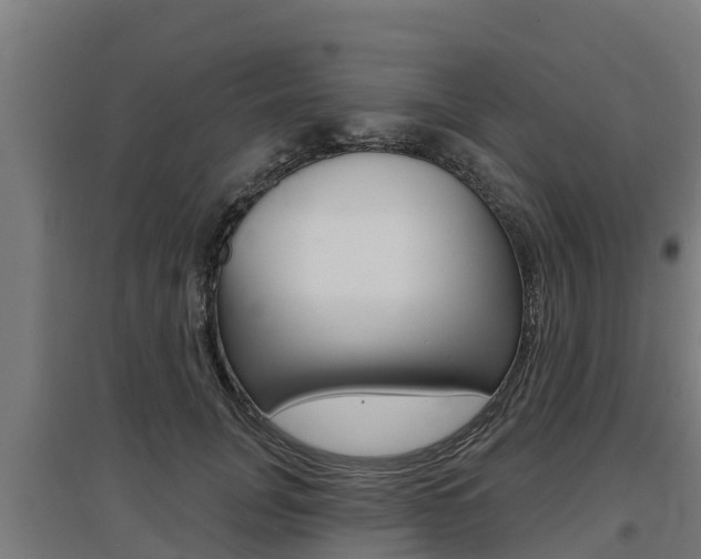 X0000097590751200802290749
