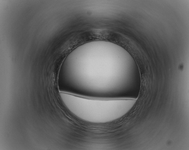 X0000097590752200802290749