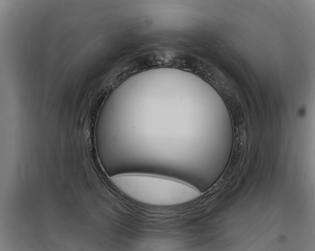 X0000097590754200802290749