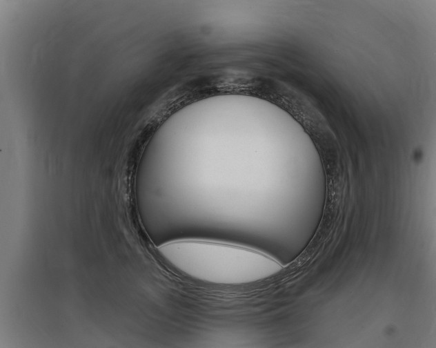 X0000097590755200802290749