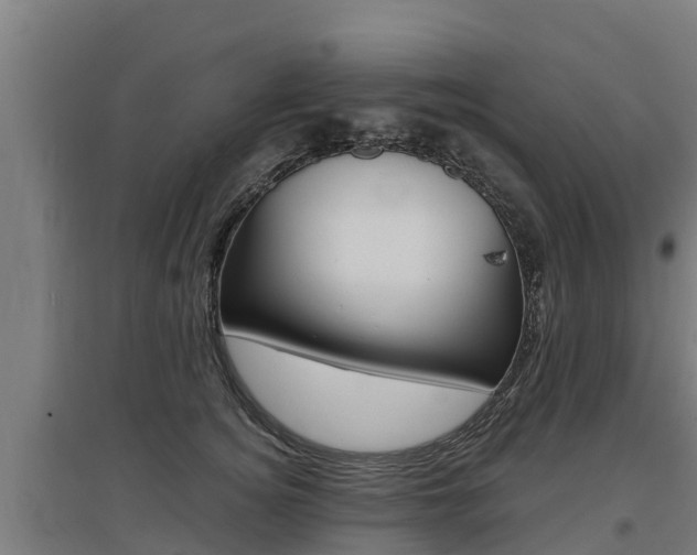 X0000097590756200802290749