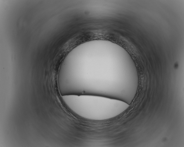 X0000097590757200802290749