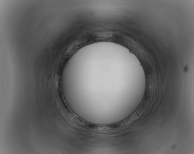 X0000097590758200802290749