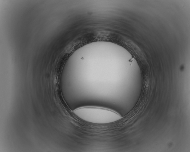 X0000097590759200802290749