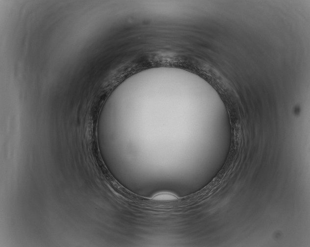 X0000097590760200802290749