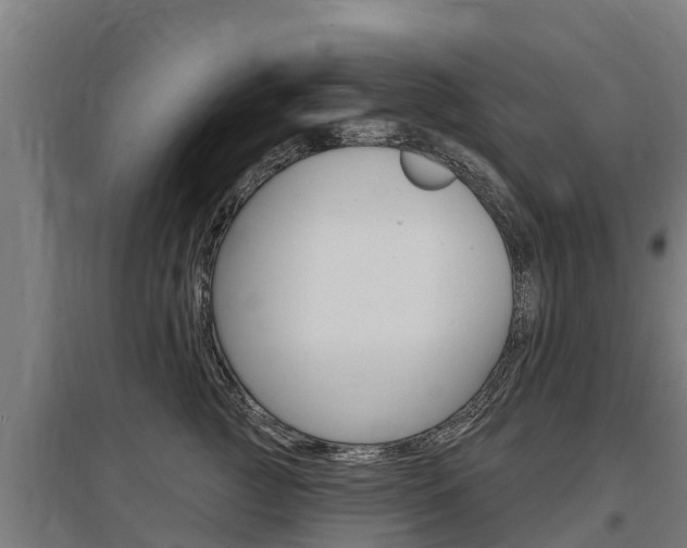 X0000097590761200802290749