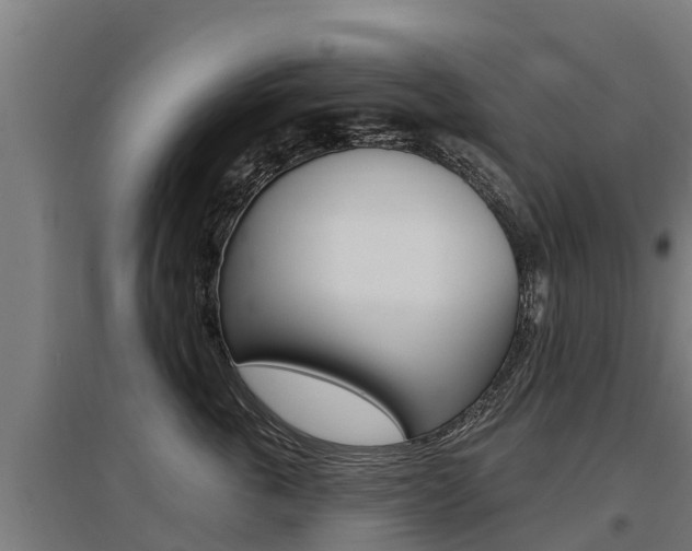 X0000097590763200802290749