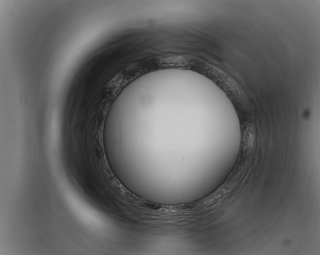 X0000097590764200802290749