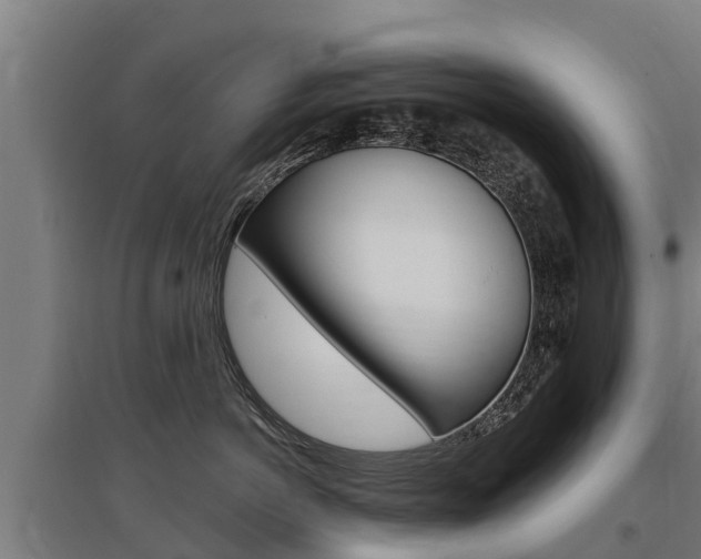 X0000097590766200802290749