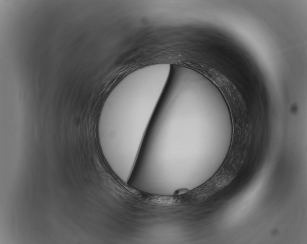 X0000097590767200802290749