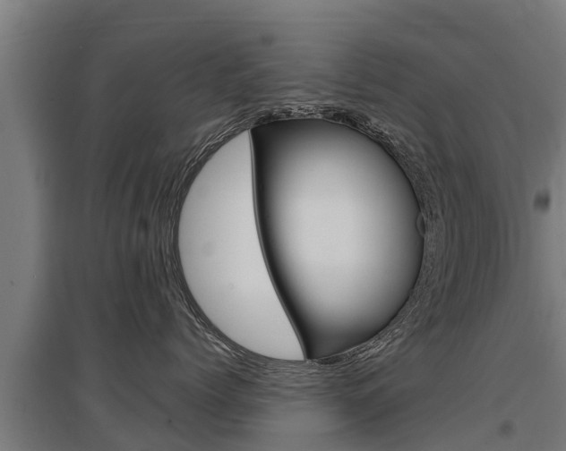 X0000097590768200802290749