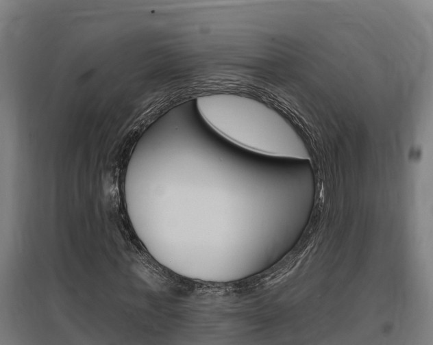 X0000097590771200802290748