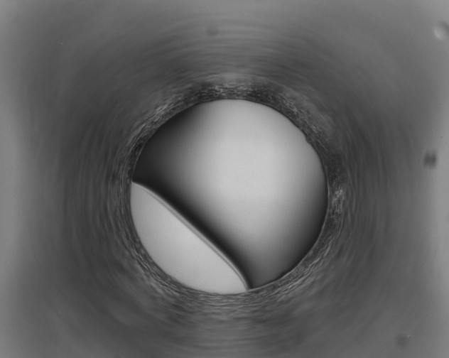 X0000097590772200802290748