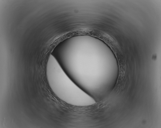 X0000097590773200802290748