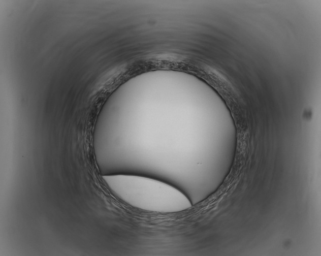 X0000097590774200802290748
