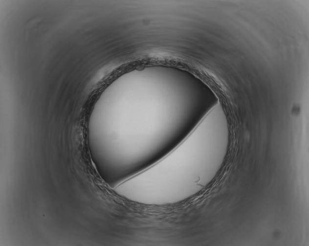 X0000097590776200802290748