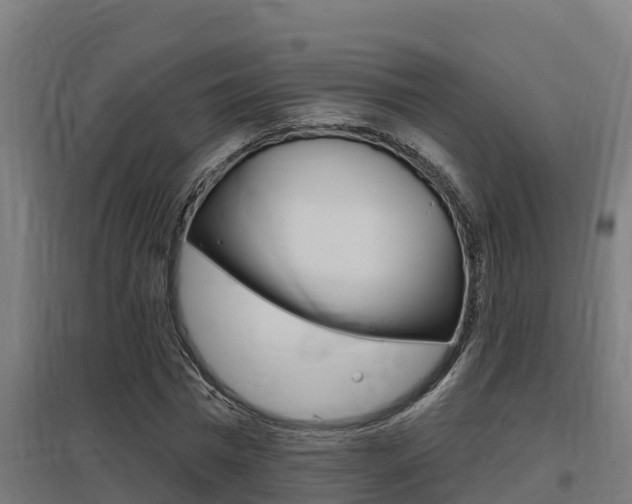 X0000097590777200802290748