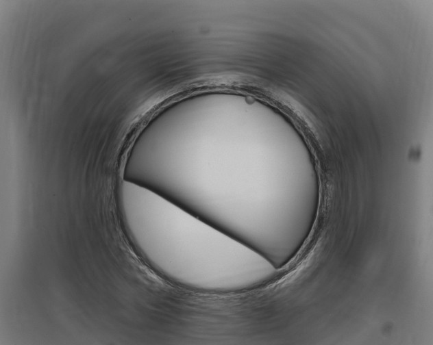 X0000097590778200802290748