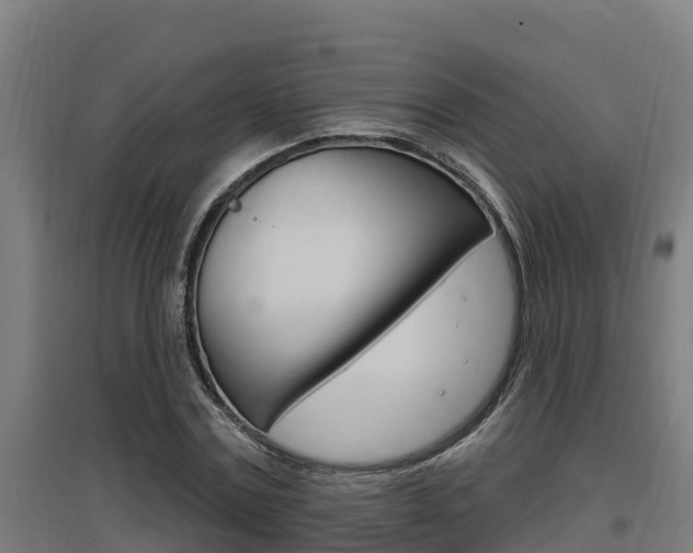 X0000097590779200802290748