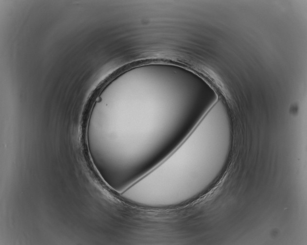 X0000097590780200802290748