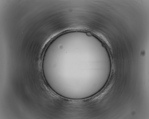 X0000097590781200802290748