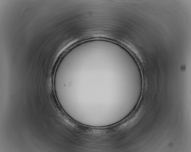 X0000097590782200802290748