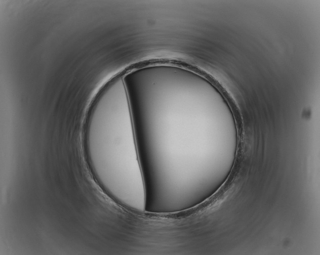 X0000097590783200802290748