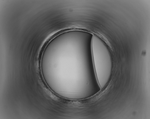 X0000097590784200802290748