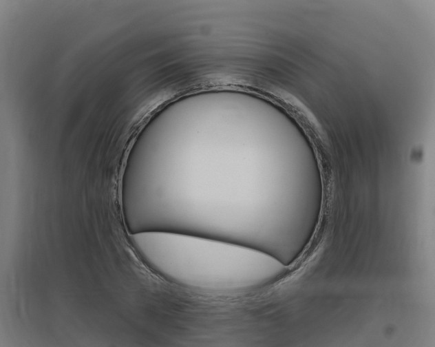 X0000097590785200802290748