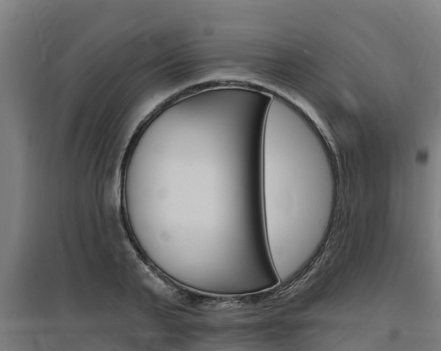 X0000097590791200802290748